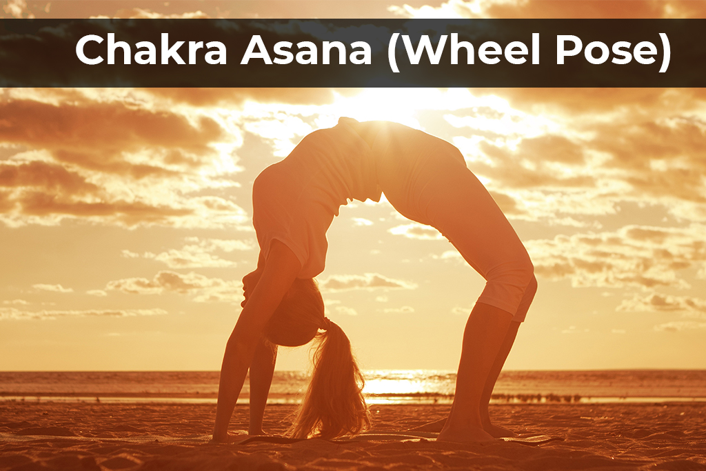 Know Chakrasana and Benefits of Chakrasana