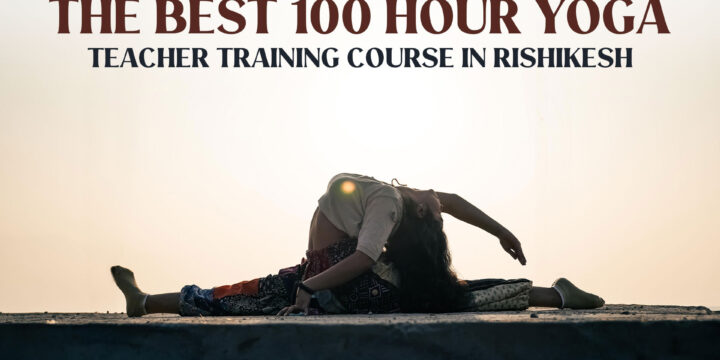 A Beginner’s Guide To Choose The Best 100 Hour Yoga Teacher Training Course In Rishikesh