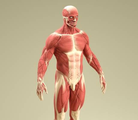 Yoga training course Rishikesh